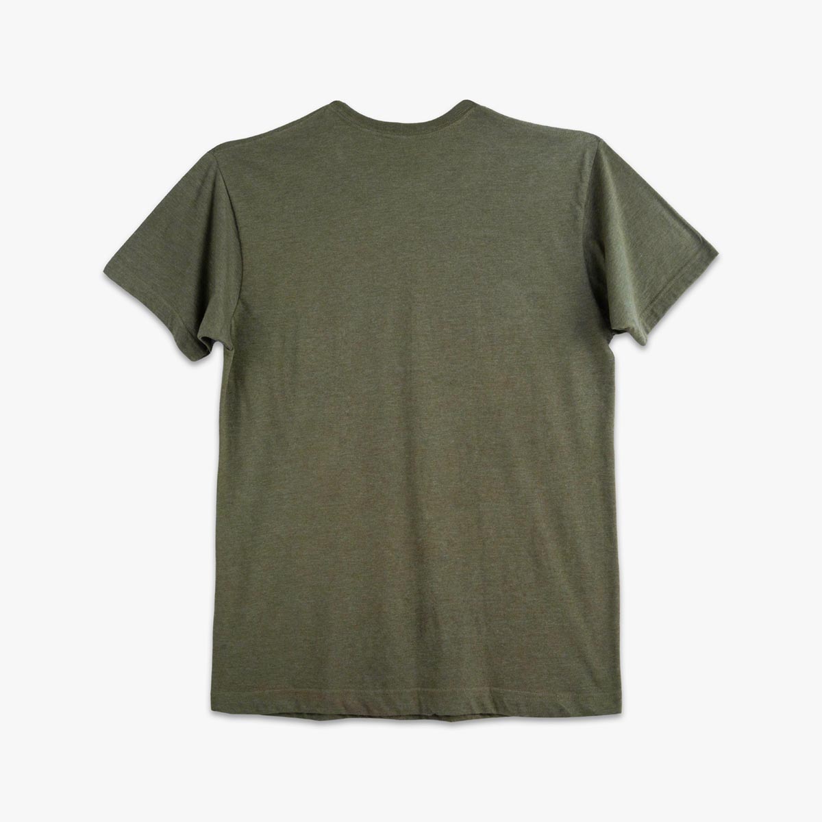 Adult Fit Festival Tee with Winged Guitar in Green image number 3
